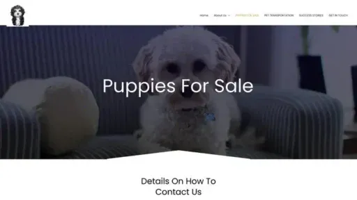 Screenshot of