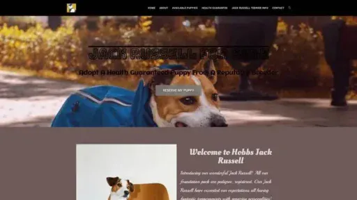 Screenshot of|