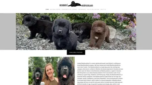 Screenshot of