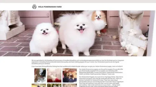 Screenshot of