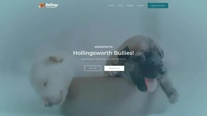 Screenshot of