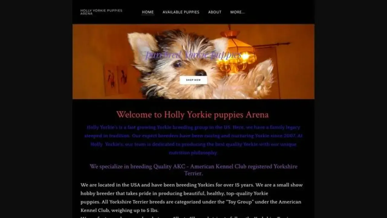 Hollyyorkiepuppiesarena