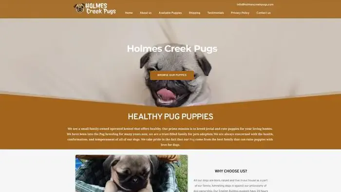 Screenshot of
