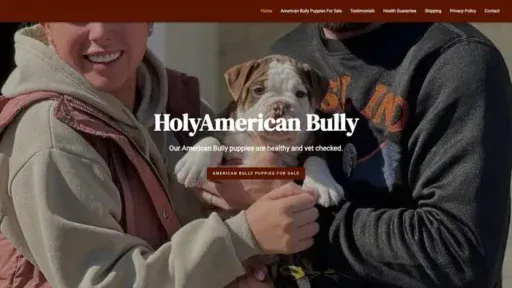 Screenshot of