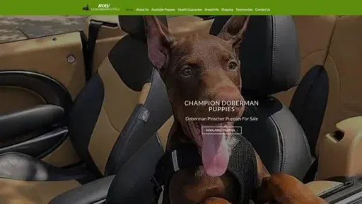 Screenshot of
