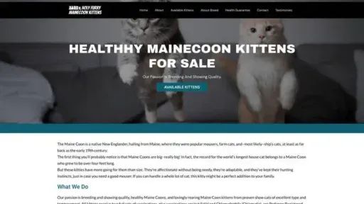 Screenshot of