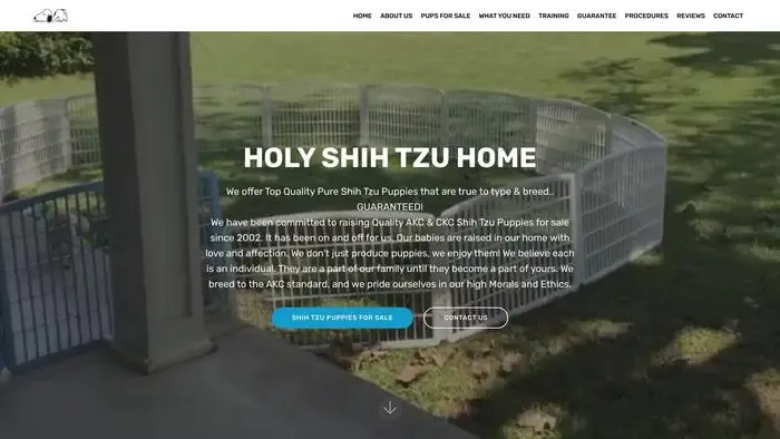 Screenshot of