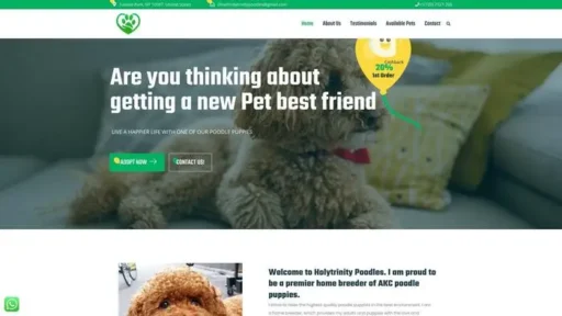 Screenshot of