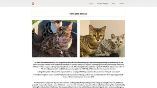 Screenshot of