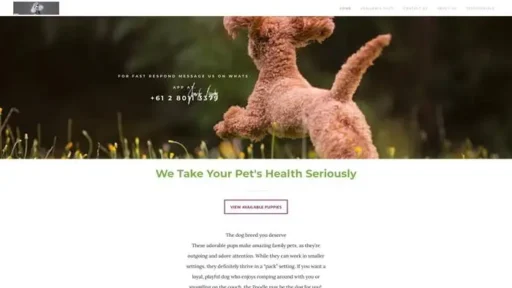 Screenshot of