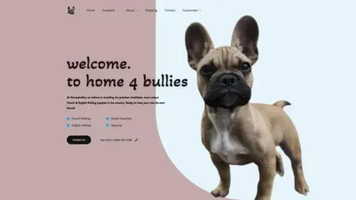 Screenshot of