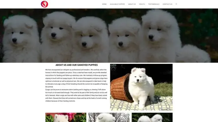 Screenshot of