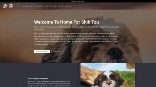 Screenshot of