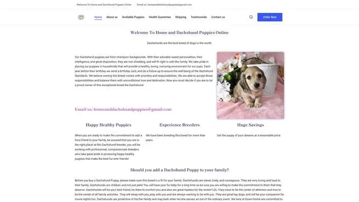 Screenshot of
