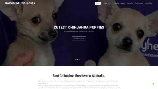 Screenshot of