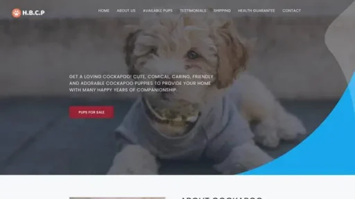 Screenshot of