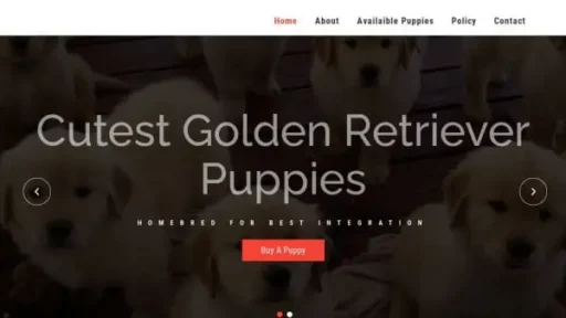 Screenshot of