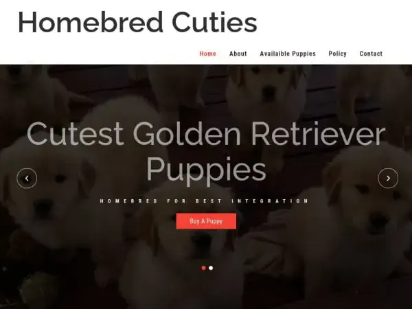 Screenshot of