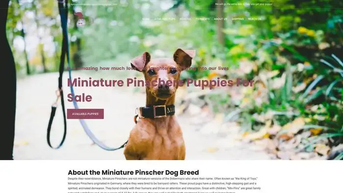 Screenshot of