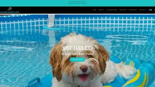 Screenshot of