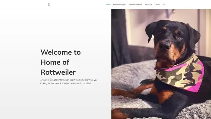 Screenshot of