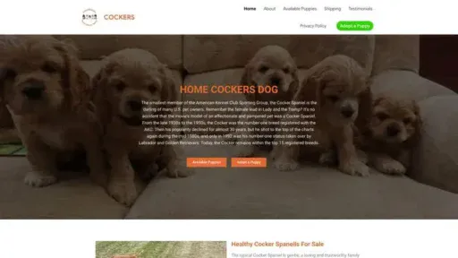 Screenshot of