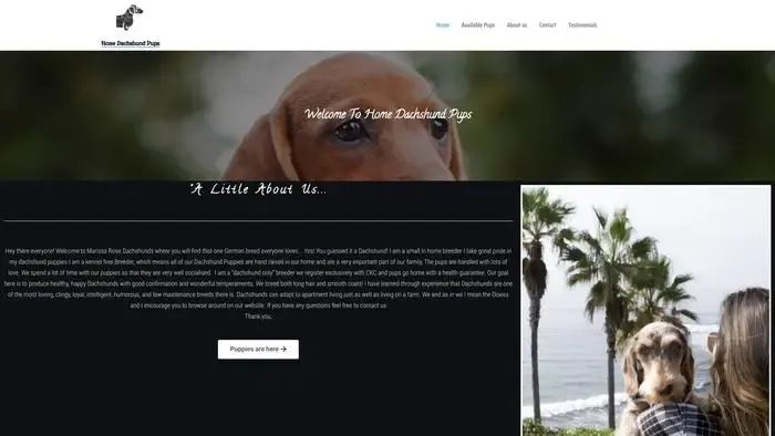 Screenshot of