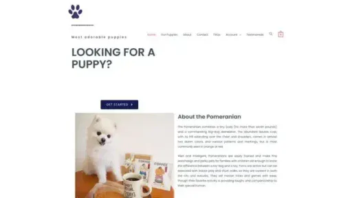 Screenshot of
