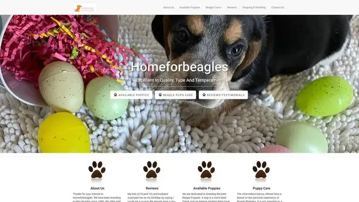 Screenshot of