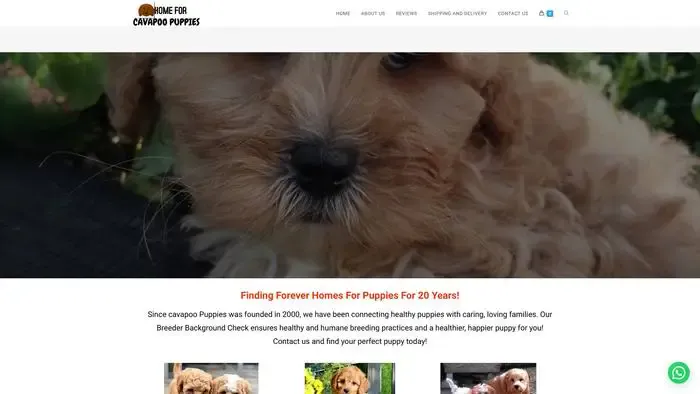 Screenshot of