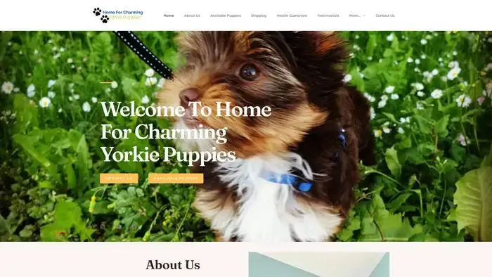 Screenshot of