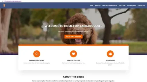 Screenshot of