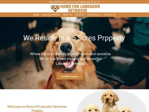 Screenshot of