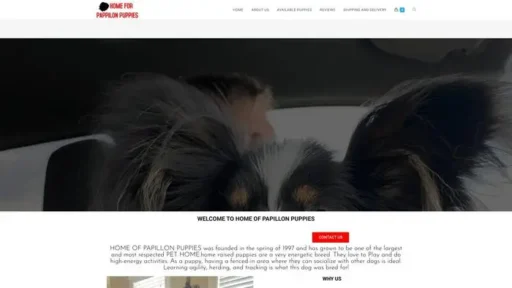 Screenshot of