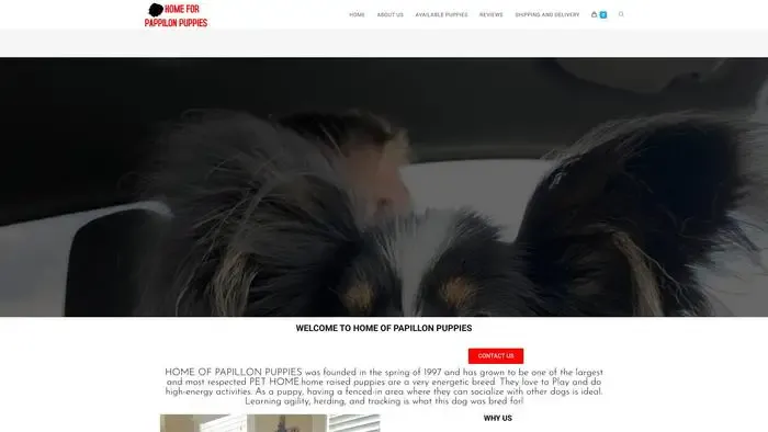 Screenshot of