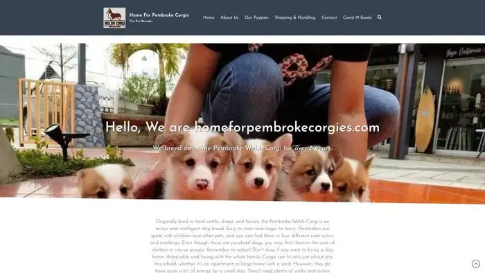 Screenshot of