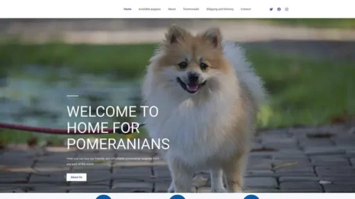 Screenshot of