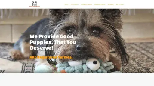Screenshot of