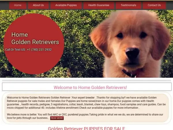 Screenshot of