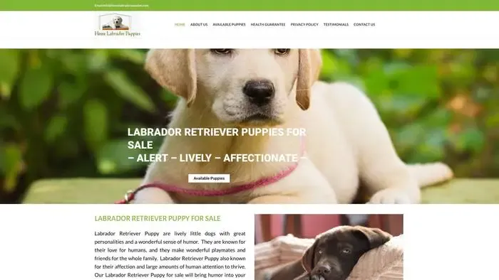 Screenshot of