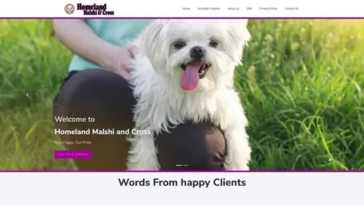 Screenshot of