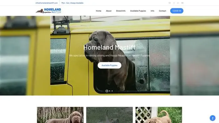 Screenshot of