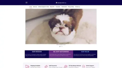 Screenshot of