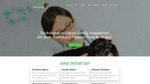 Screenshot of||