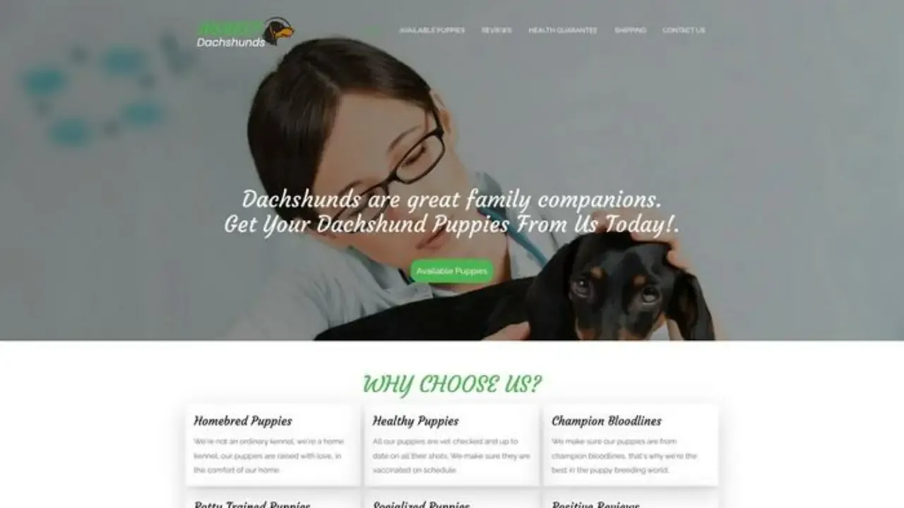 Homelydachshunds