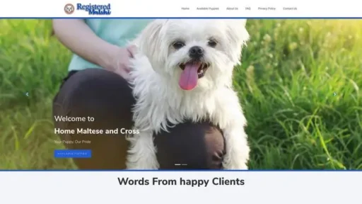 Screenshot of