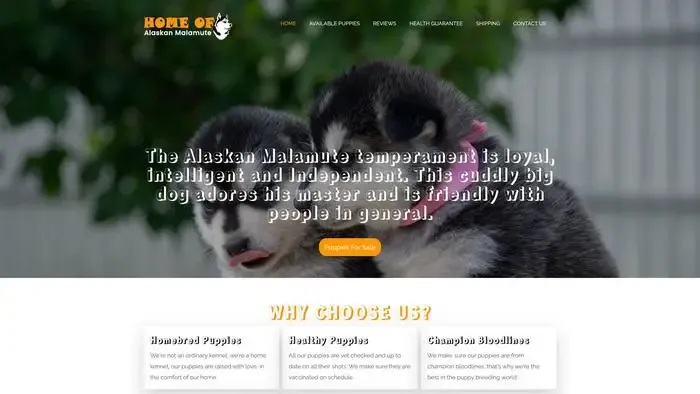 Screenshot of