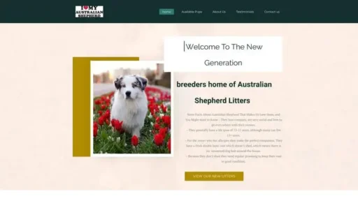 Screenshot of