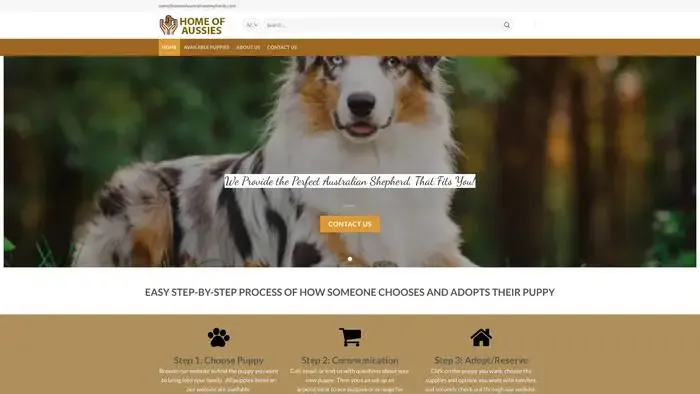 Screenshot of