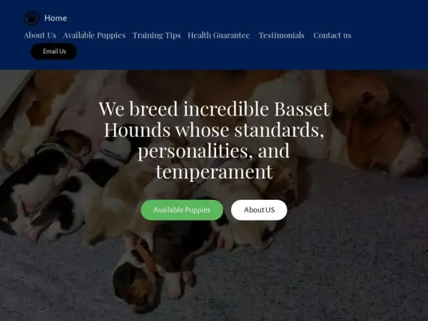 Screenshot of